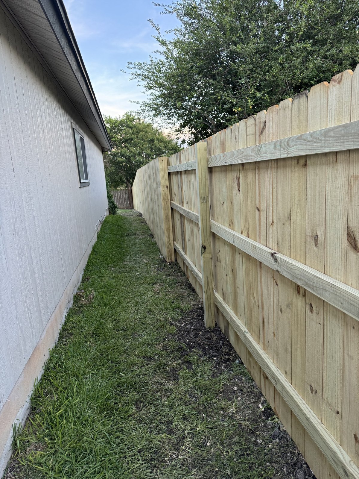 Freshly built cedar privacy fence along a side yard, San Antonio-area property
